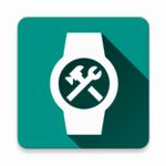 wearos v3.1.13 ԰