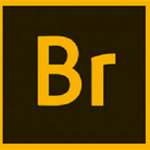 adobe bridge 2022(ͼ)